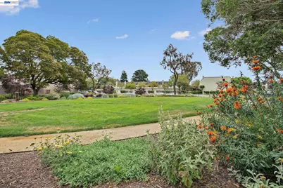 1024 Fontana Dr, Alameda, CA 94502 - Photo 53