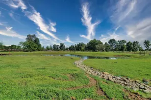 11709 Quiggle Rd, Herald, CA 95638 - Photo 35