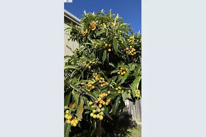 2295 Regatta Way, San Leandro, CA 94579 - Photo 41