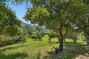 15 Crown Ct, Orinda, CA 94563 - Photo 39