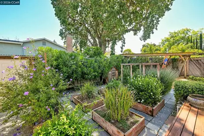3754 Walnut Ave, Concord, CA 94519 - Photo 31