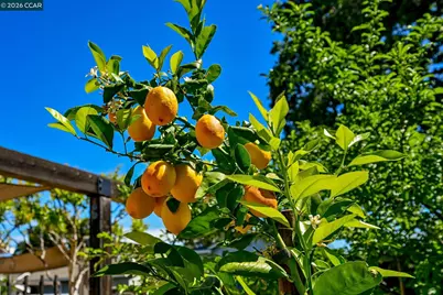 3754 Walnut Ave, Concord, CA 94519 - Photo 29