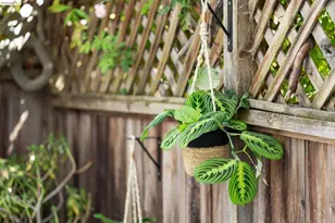 1200 El Centro Ave, Oakland, CA 94602 - Photo 29