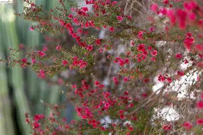 1200 El Centro Ave, Oakland, CA 94602 - Photo 35