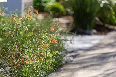 1200 El Centro Ave, Oakland, CA 94602 - Photo 37