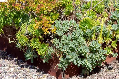 1200 El Centro Ave, Oakland, CA 94602 - Photo 33