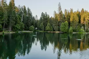 22912 Sierra Dr, Twain Harte, CA 95383 - Photo 35