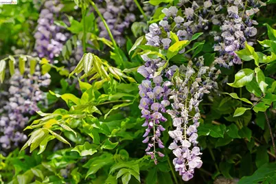 3824 Enos Ave, Oakland, CA 94619 - Photo 23