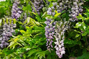 3824 Enos Ave, Oakland, CA 94619 - Photo 23