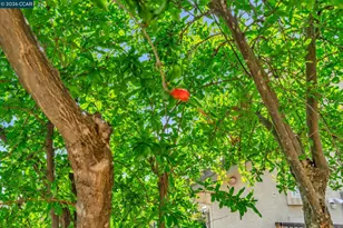 1174 Central Ave, Livermore, CA 94551 - Photo 37