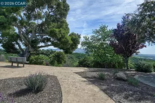 532 Spotted Owl Ct, Walnut Creek, CA 94595 - Photo 59