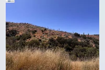 21810 Mines Rd, Livermore, CA 94550 - Photo 7