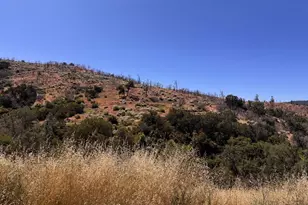 21810 Mines Rd, Livermore, CA 94550 - Photo 7