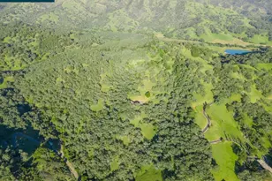 98 Oak Springs Dr, Napa, CA 94558 - Photo 7