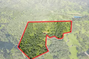 98 Oak Springs Dr, Napa, CA 94558 - Photo 49