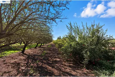 10638 Toews Ave, Le Grand (also Legrand), CA 95333 - Photo 27