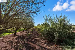 10638 Toews Ave, Le Grand (also Legrand), CA 95333 - Photo 27