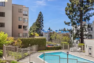 545 Pierce St, Albany, CA 94706 - Photo 27