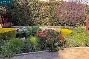 3586 Tupelo Dr, Walnut Creek, CA 94598 - Photo 31