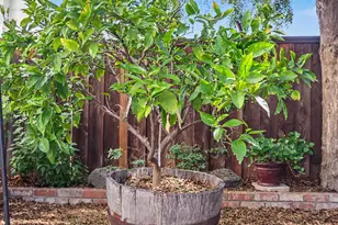 6162 Linford Terrace, Fremont, CA 94555 - Photo 37