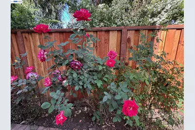 1265 Alder Creek Cir, San Leandro, CA 94577 - Photo 19