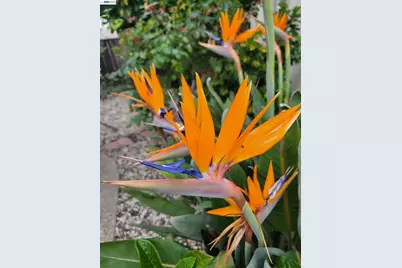 690 Kraftile Ct., Fremont, CA 94536 - Photo 43