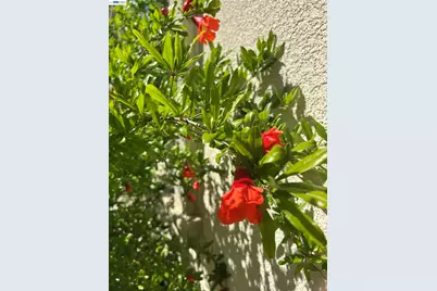 690 Kraftile Ct., Fremont, CA 94536 - Photo 47