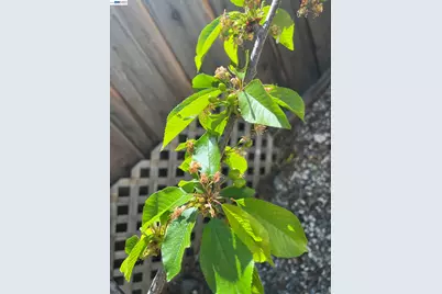 690 Kraftile Ct., Fremont, CA 94536 - Photo 45