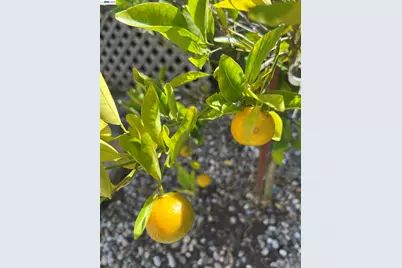 690 Kraftile Ct., Fremont, CA 94536 - Photo 49