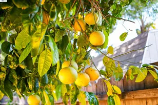 32287 Ithaca St, Hayward, CA 94544 - Photo 45