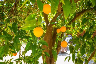 32287 Ithaca St, Hayward, CA 94544 - Photo 47