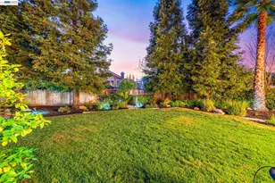 409 Antelope Ridge Way, Danville, CA 94506 - Photo 59