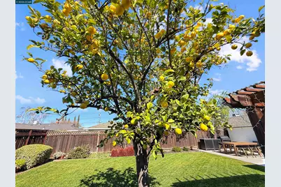 2164 Dena Dr, Concord, CA 94519 - Photo 37