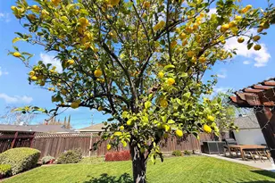 2164 Dena Dr, Concord, CA 94519 - Photo 37