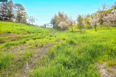 40 Rodrigues Ln, Walnut Creek, CA 94597 - Photo 7