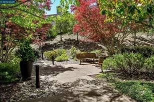 5920 Horsemans Canyon, Walnut Creek, CA 94595 - Photo 23