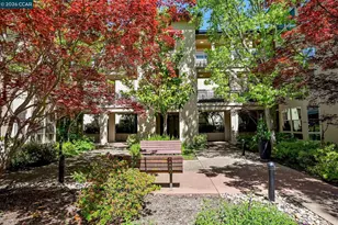 5920 Horsemans Canyon, Walnut Creek, CA 94595 - Photo 33