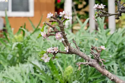 480 42nd St #E, Oakland, CA 94609 - Photo 37