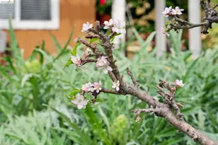 480 42nd St, Oakland, CA 94609 - Photo 37