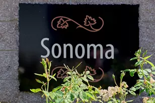 1556 Symphony Cir, Brentwood, CA 94513 - Photo 33