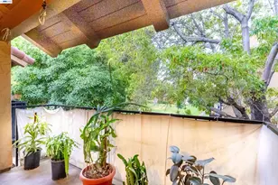 247 Capitol Ave, San Jose, CA 95127 - Photo 15