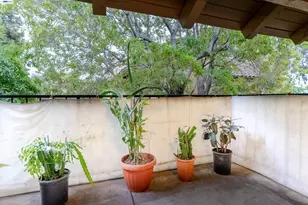 247 Capitol Ave, San Jose, CA 95127 - Photo 17