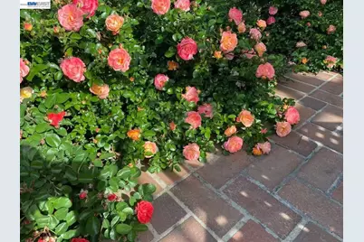 4022 Silver St, Pleasanton, CA 94566 - Photo 43