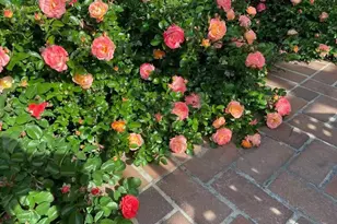 4022 Silver St, Pleasanton, CA 94566 - Photo 43