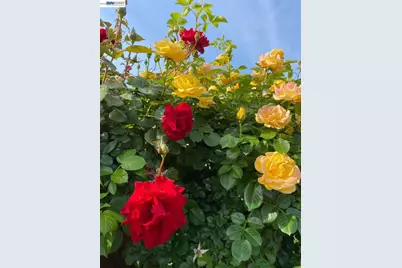 4022 Silver St, Pleasanton, CA 94566 - Photo 45