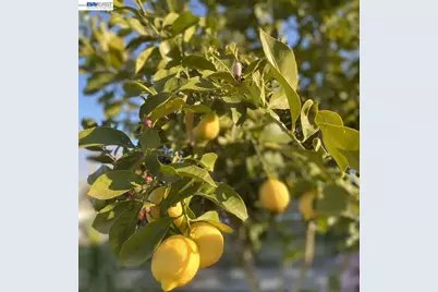 4022 Silver St, Pleasanton, CA 94566 - Photo 47