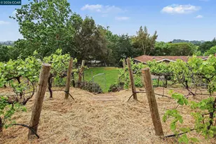 4 Dale Ct, Lafayette, CA 94595 - Photo 29