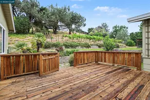 4 Dale Ct, Lafayette, CA 94595 - Photo 29