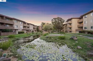 1321 Webster St, Alameda, CA 94501 - Photo 19