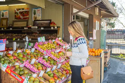 28958 Parkwood Lane #68, Hayward, CA 94544 - Photo 29